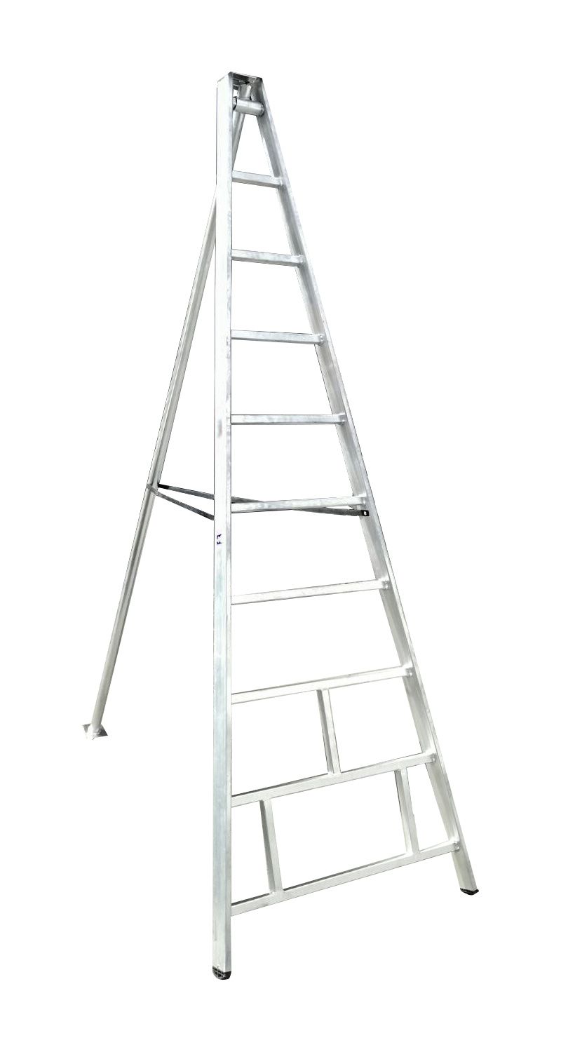 MEYVE TOPLAMA MERDİVENİ